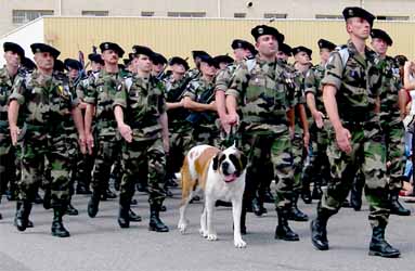 4e RC, d�fil� d'escadron avec le chien Saint-Bernard (saint patron des troupes de montagne), mascotte du r�giment
