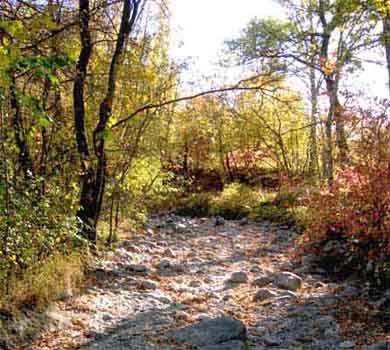 Le lit - vide - de la Luye, entr�e est de Gap, 30/10/2007