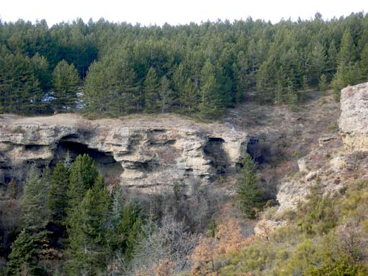 poudingues antew�rmiens de Corr�o